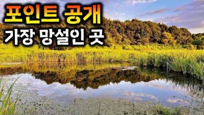서울근교 여주 노지 무료 낚시터 금당천 민물낚시 포인트 추천