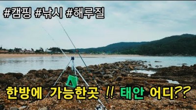 충남 태안 캠핑 바다낚시 해루질이 가능한 청운대민박 캠핑장 캠낚 원투낚시 바지락 소라 해루질포인트 가볼만한곳 추천