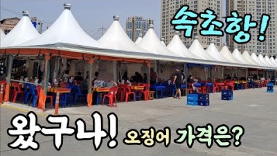 속초 오징어난전 어시장 오징어회 맛집 가볼만한곳, 속초항 오징어난전 오징어통찜, 오징어회초무침, 오징어회 속초여행 속초맛집 추천