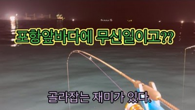 포항 신항만 전갱이낚시 고등어낚시 포인트 배낚시 선상낚시 조황정보