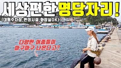 강원도 고성 거진항 루어낚시 바다낚시포인트, 가족낚시 캠핑낚시, 편의시설 좋고 발판 편한 바다낚시 포인트 추천