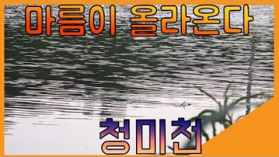 서울근교 용인 청미천 붕어낚시 마름포인트 민물낚시 채비정보 조황정보