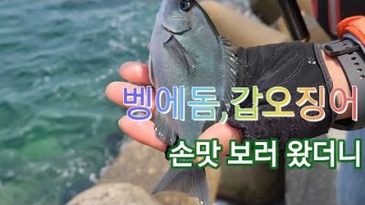 경주 감포 전촌항 벵에돔낚시 갑오징어낚시 출조, 발판 편한 원투낚시 찌낚시 경북 바다낚시 포인트 가볼만한곳 추천