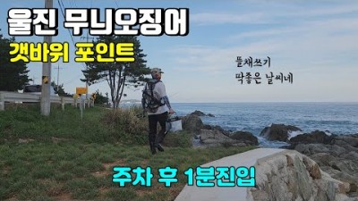 울진 무늬오징어 낚시 도보권 갯바위 포인트 채비정보 조황정보