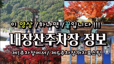 내장산 단풍여행 무료 주차장 및 교통정보