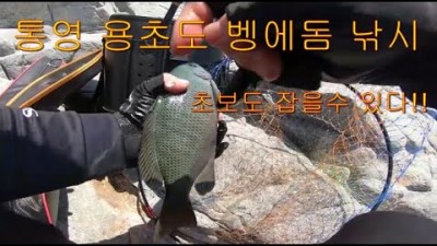 통영 용초도 벵에돔 낚시포인트 갯바위 벵에돔낚시 전유동 0찌채비 조황정보