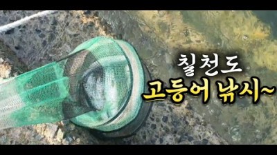 거제도 고등어낚시 칠천도 어온항 방파제 전갱이낚시 포인트 및 조황정보