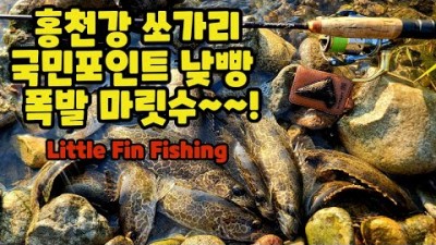홍천강 쏘가리 루어낚시 포인트 및 쏘가리낚시 태클정보