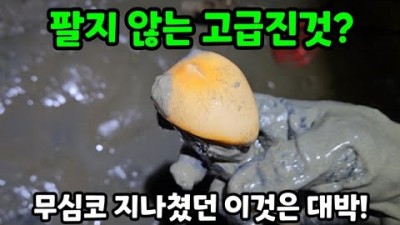 서울근교 해루질 포인트 가볼만한곳, 인천 영흥도 갯벌 골뱅이, 키조개, 홍맛, 갯가제, 개조개, 꽃게 수도권 야간 해루질 조과 추천