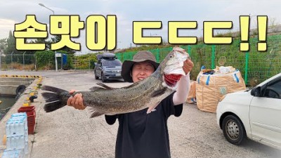 울산 대농어 찌낚시 포인트, 고등어낚시 전갱이낚시 배낚시 선상낚시 바다낚시포인트 출조