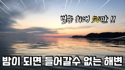 안면도 바람아래해수욕장 수중 해루질 포인트, 피뿔고둥, 소라 해루질, 충남 서해바다 해루질 포인트 가볼만한곳 추천