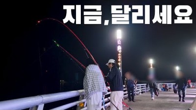 삼길포항 방파제 우럭 원투낚시 포인트, 충남 당진 다양한 어종이 잡히는 바다낚시포인트, 차박캠핑명소, 삼길포 선상횟집, 서울근교 바다낚시 가볼만한곳 추천
