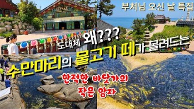 강원도 가볼만한곳 추천, 양양 휴휴암 사찰여행, 수만 마리의 물고기 떼, 속초 가볼만한곳 양양 가볼만한곳 추천 여행지