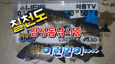 거제 칠천도 금곡방파제 감성돔낚시 바다낚시포인트 조황