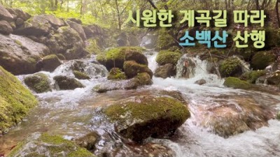 소백산 천동코스 시원한 계곡길 등산코스 시원한 여름 산행 가볼만한곳 추천