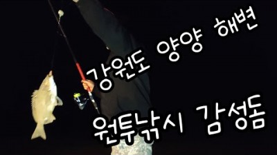 강원도 양양 동호해변 감성돔 원투낚시 포인트 가볼만한곳 추천