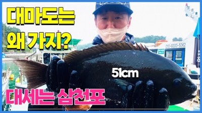 경남 삼천포 벵에돔낚시 내만권 발전소 벵에돔낚시 채비, 조황정보