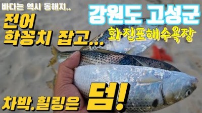 강원도 고성 화진포해수욕장 조용하고 바다뷰 좋은 무료 차박지, 바다낚시 가능한 차박캠핑장, 동해바다 편의시설 좋은 무료 차박캠핑 가볼만한곳 추천