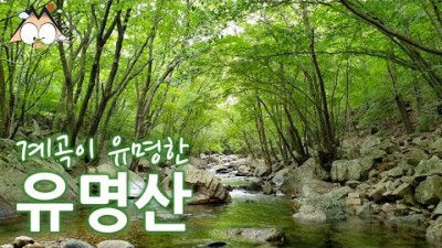 가평 유명산 계곡 트래킹, 마당소, 용소, 박쥐소 너덜바위 계곡길 등산로 탐방