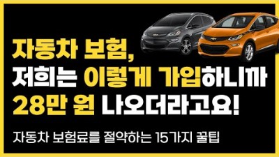 자동차보험 운전자보험 보험료를 절약하는 꿀팁