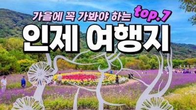 인제 가을꽃축제 여행 및 가볼만한 여행지 추천
