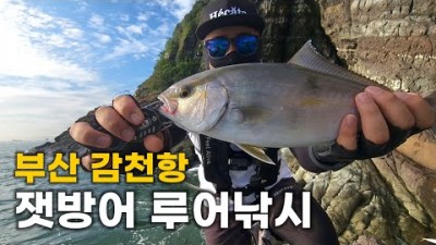 부산 감천항 잿방어 루어낚시 포인트 두도 갯바위 방어낚시 채비정보 조황정보