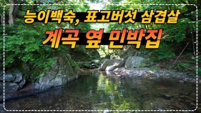 강원도 영월 '미사밸리 펜션' 인당 3만 5천 원이면 무제한 표고버섯 삼합과 아침식사를 제공해 주는 계곡 옆 식사제공 능이백숙 민박집 가볼만한곳 추천