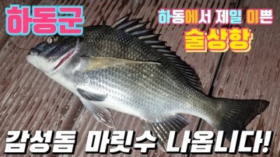 경남 하동 술상항 감성돔 낚시 포인트 및 차박 캠핑 가볼만한곳 추천