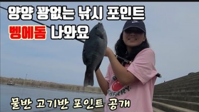 양양 동산항 내항 민장대 벵어돔 전갱이 고등어 낚시포인트 발판 편한 가족낚시터 생활낚시터 포인트 가볼만한곳 추천